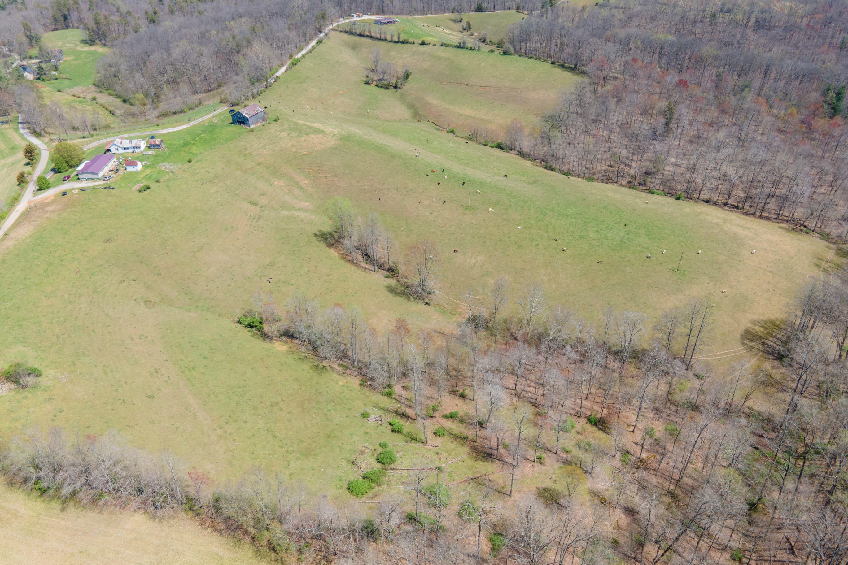 1211 Ebon Road Wellington, KY 40387 - Photo 8 of 8 20220414-35-Whites-Branch-Rd-davis-drone