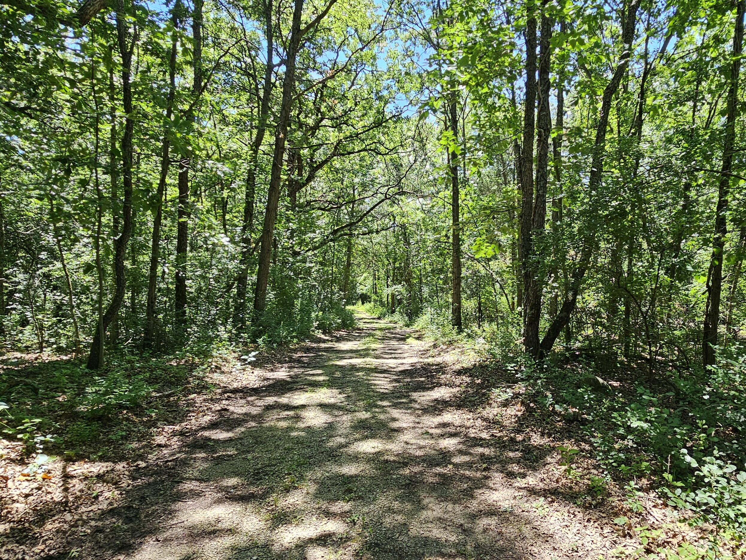 W240S10240 Castle Road Vernon, WI 53103 - Photo 17 of 34 20