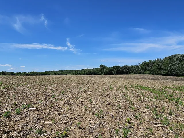 $3,499,000 | W240S10240 Castle Road, Vernon, WI 53103