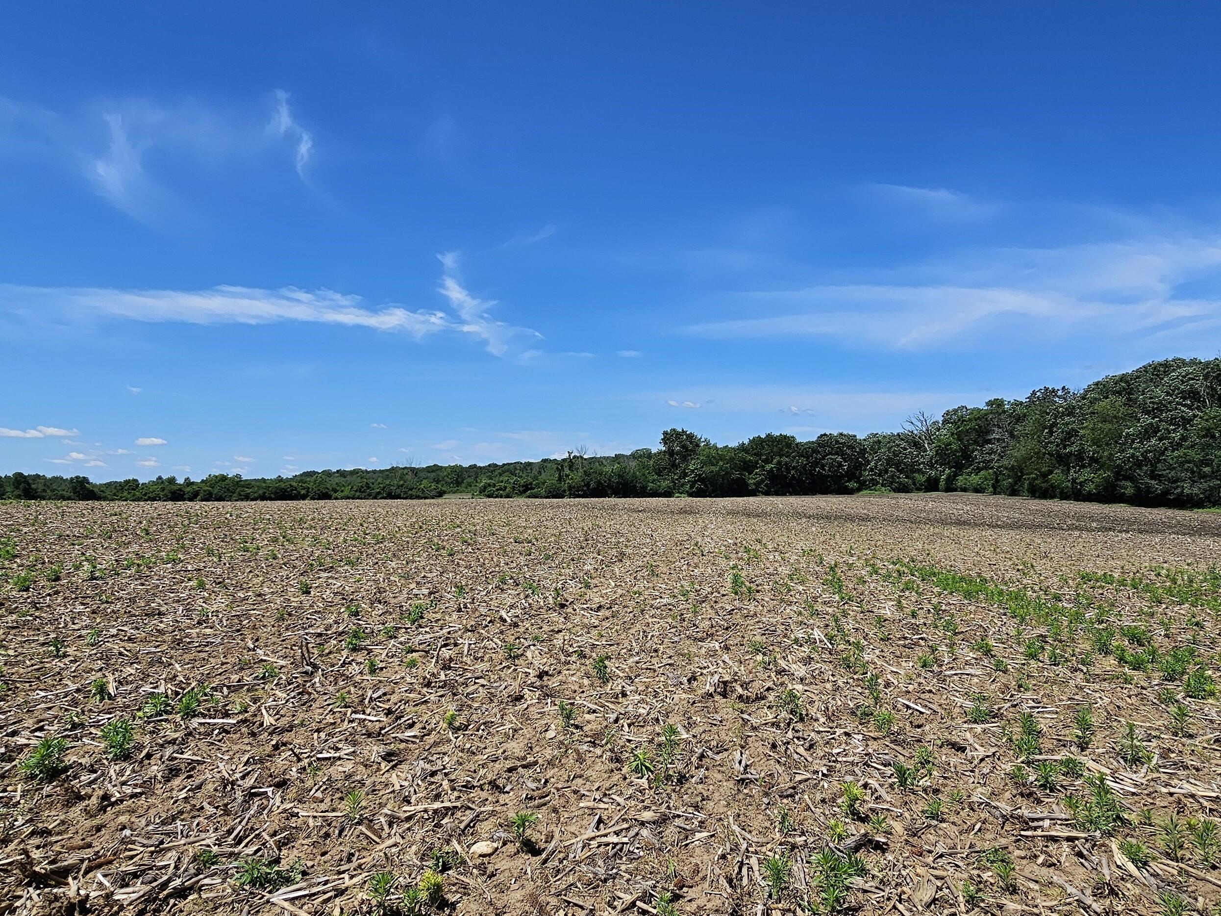 W240S10240 Castle Road Vernon, WI 53103 - Photo 21 of 34 24