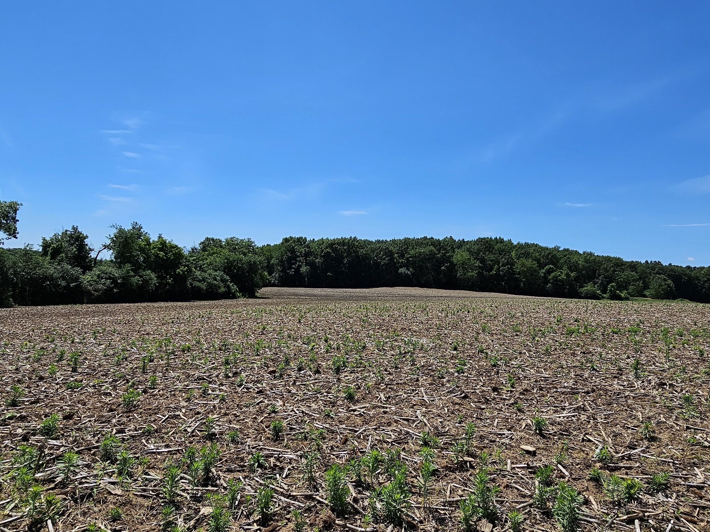 W240S10240 Castle Road Vernon, WI 53103 - Photo 22 of 34 25