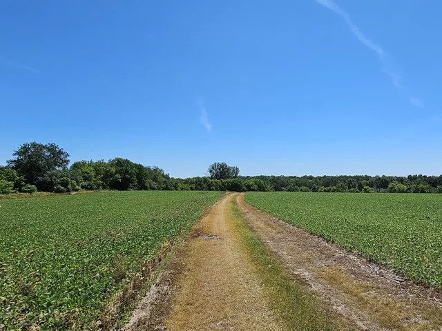 $3,499,000 | W240S10240 Castle Road, Vernon, WI 53103