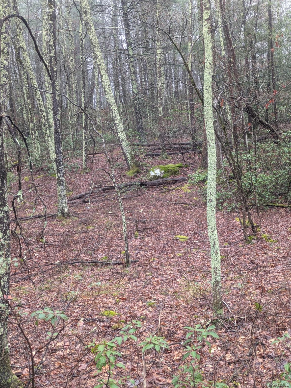 97 Otens Road Wawarsing, NY 12489 - Photo 2 of 6