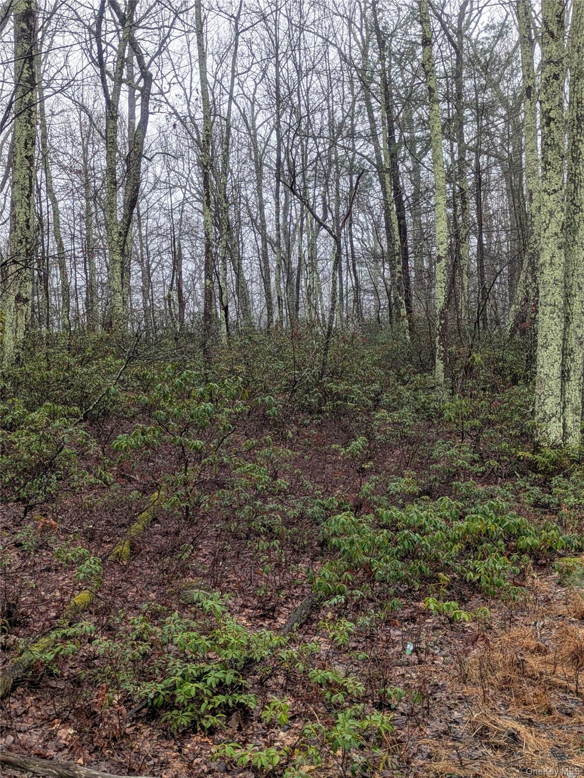 97 Otens Road Wawarsing, NY 12489 - Photo 3 of 6