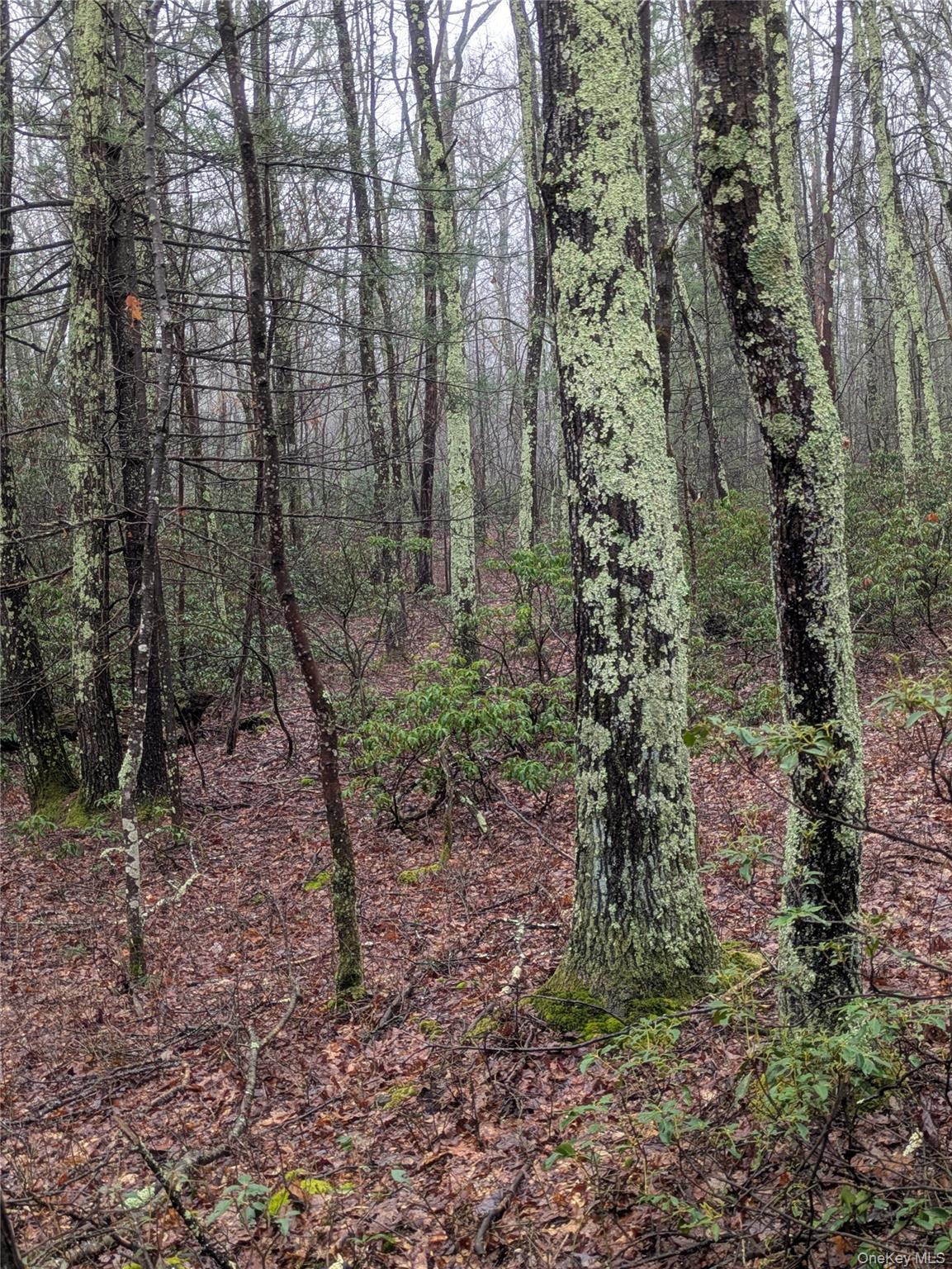 97 Otens Road Wawarsing, NY 12489 - Photo 4 of 6