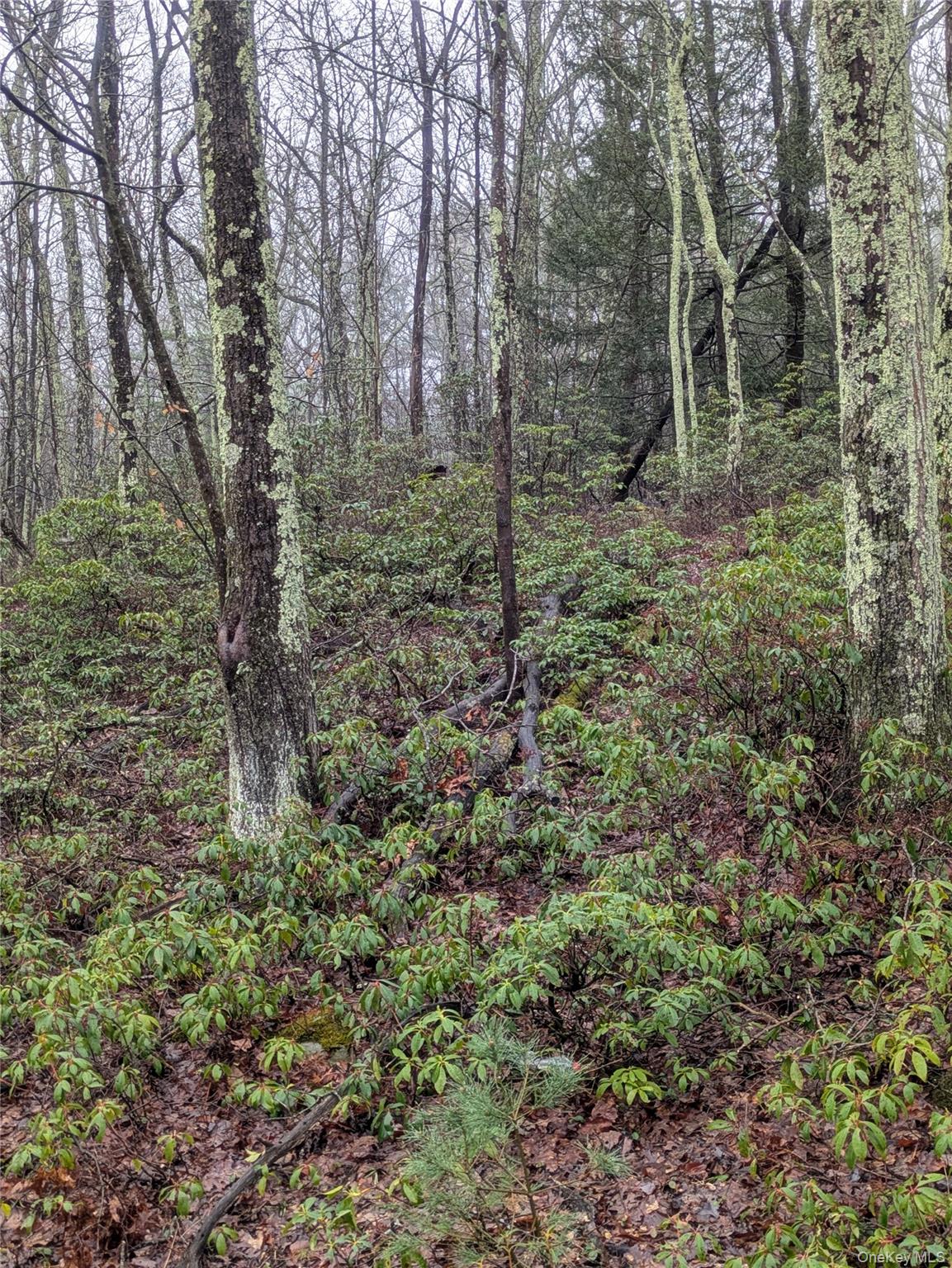 97 Otens Road Wawarsing, NY 12489 - Photo 5 of 6