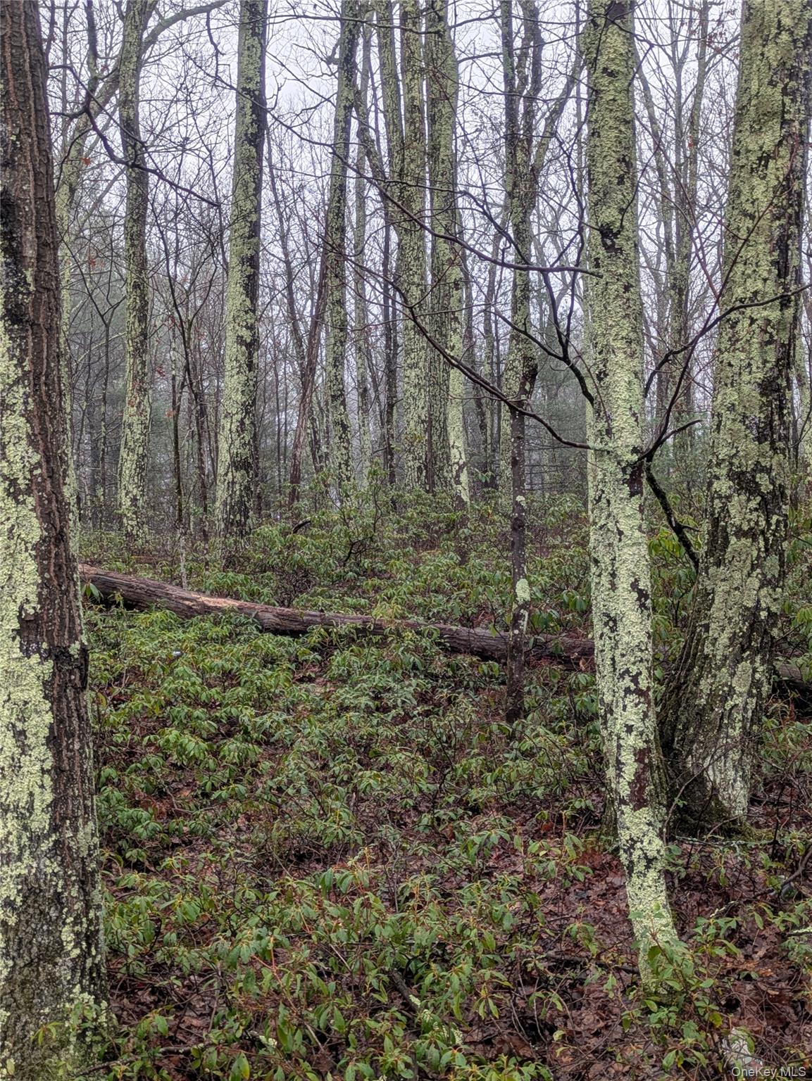 97 Otens Road Wawarsing, NY 12489 - Photo 6 of 6