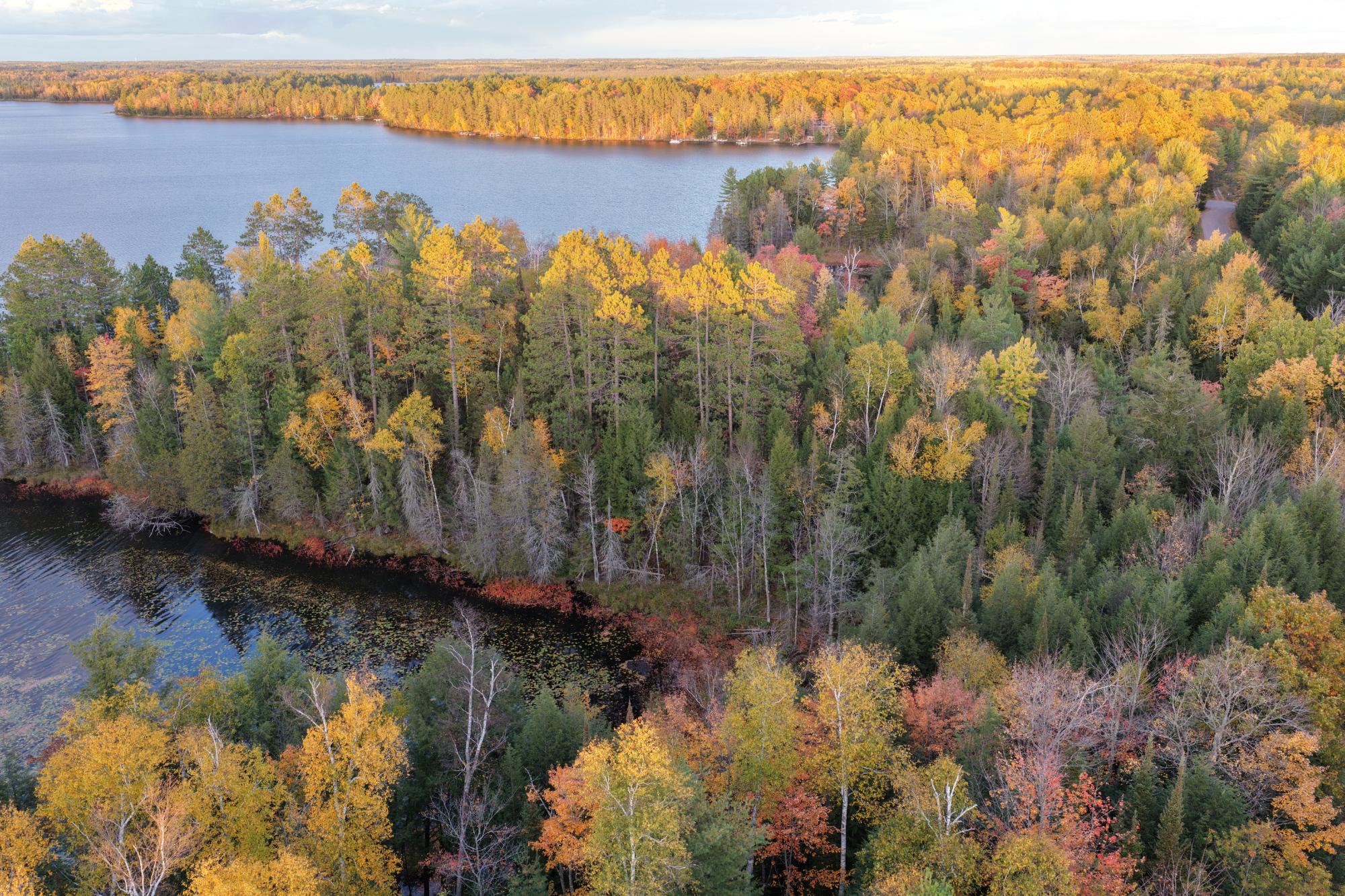 Near Ridgeway Drive Lake Tomahawk, WI 54539 - Photo 6 of 29 Gallery Image 6