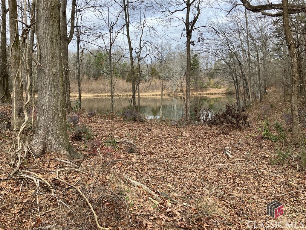 1104 Athens Road Crawford, GA 30630 - Photo 13 of 15 Lake