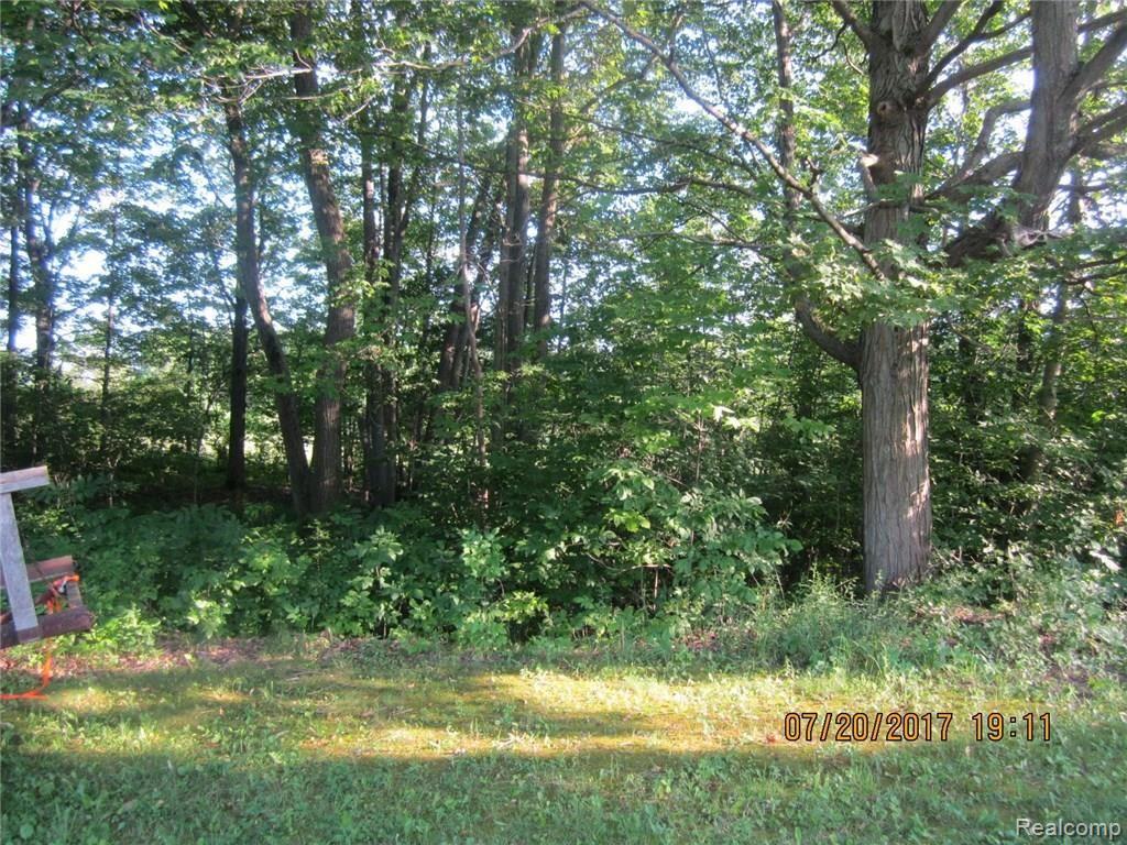94 Goodrich Road Fostoria, MI 48435 - Photo 14 of 29 94 Goodrich Land IMG_9217 (45).JPG