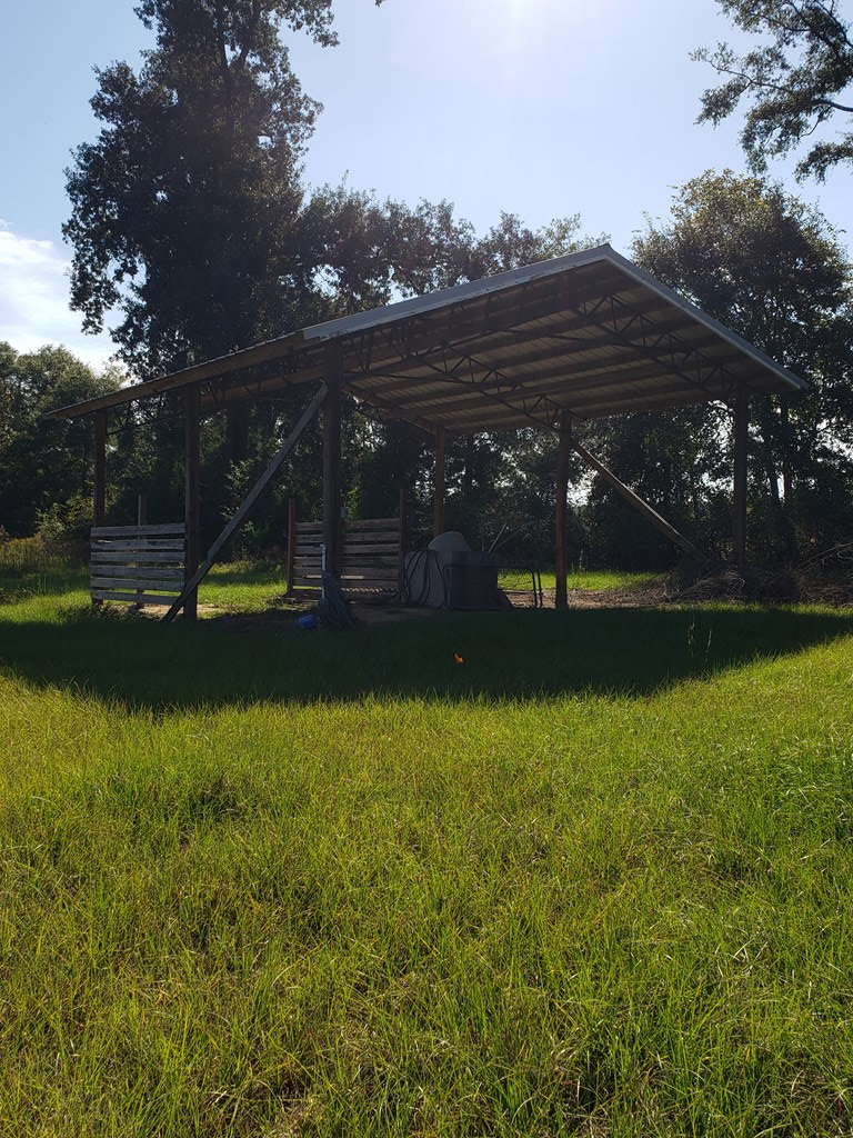 2105 Oscar Helms Road Gordon, AL 36343 - Photo 13 of 30 Gallery Image 13
