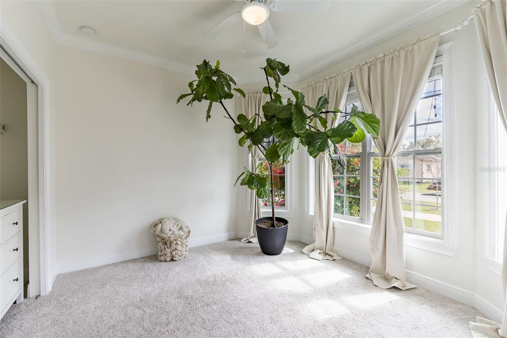 3405 West Cherry Street Tampa, FL 33607 - Photo 18 of 41 a plant in a glass door