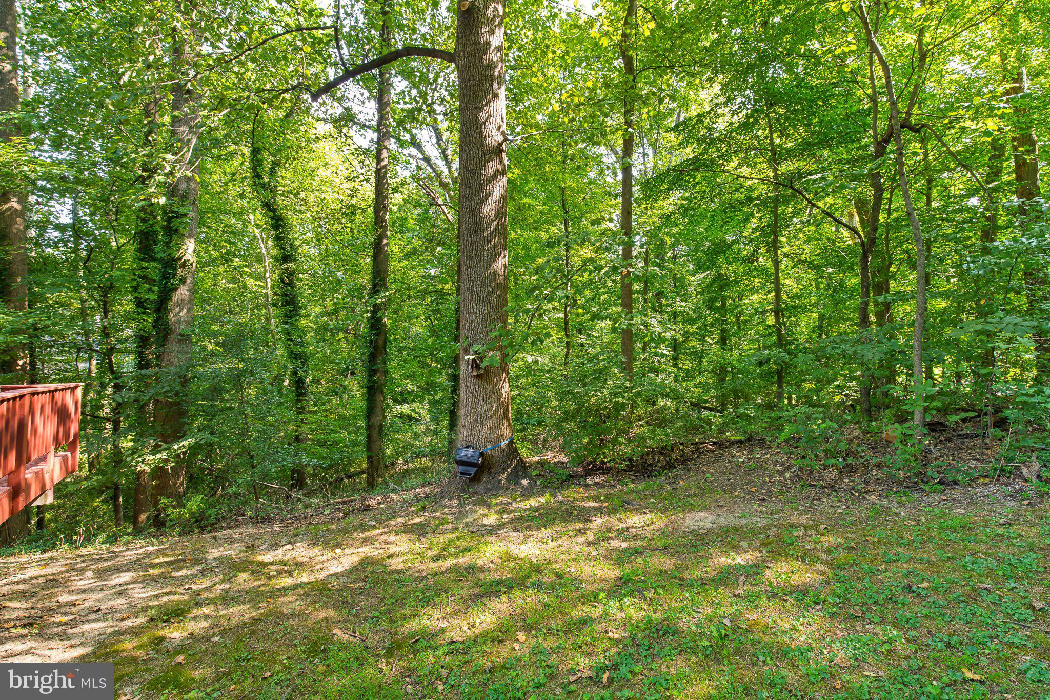 701 Corvair Road Lancaster, PA 17601 - Photo 37 of 39 Gallery Image 37