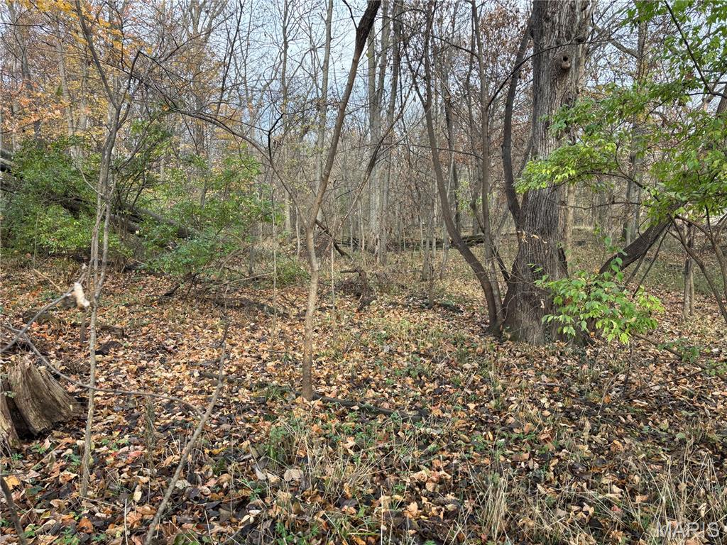 0 Rocky Ford Road Trenton, IL 62293 - Photo 1 of 1 Gallery Image 1
