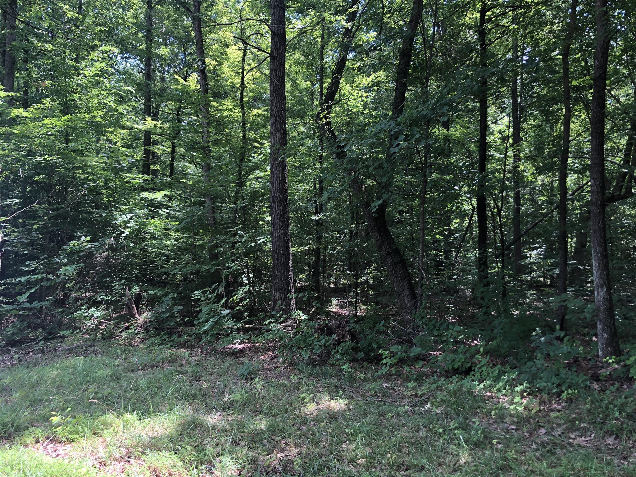 0 Elliott Road Cedar Hill, TN 37032 - Photo 1 of 3 Gallery Image 1