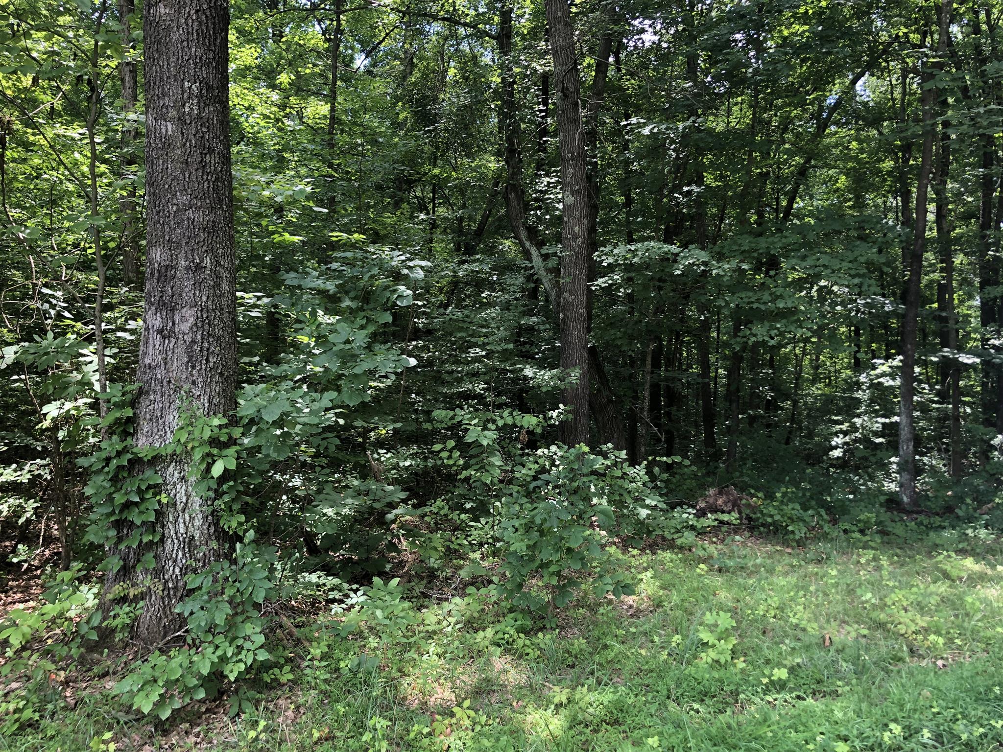 0 Elliott Road Cedar Hill, TN 37032 - Photo 3 of 3 Gallery Image 3