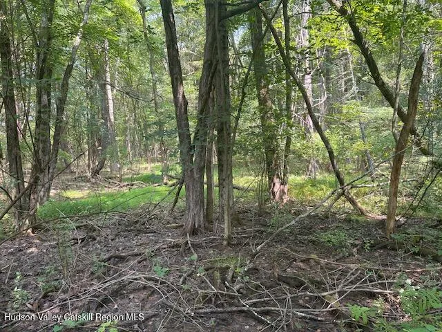 a view of outdoor space and trees