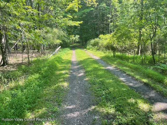 a view of yard with green space