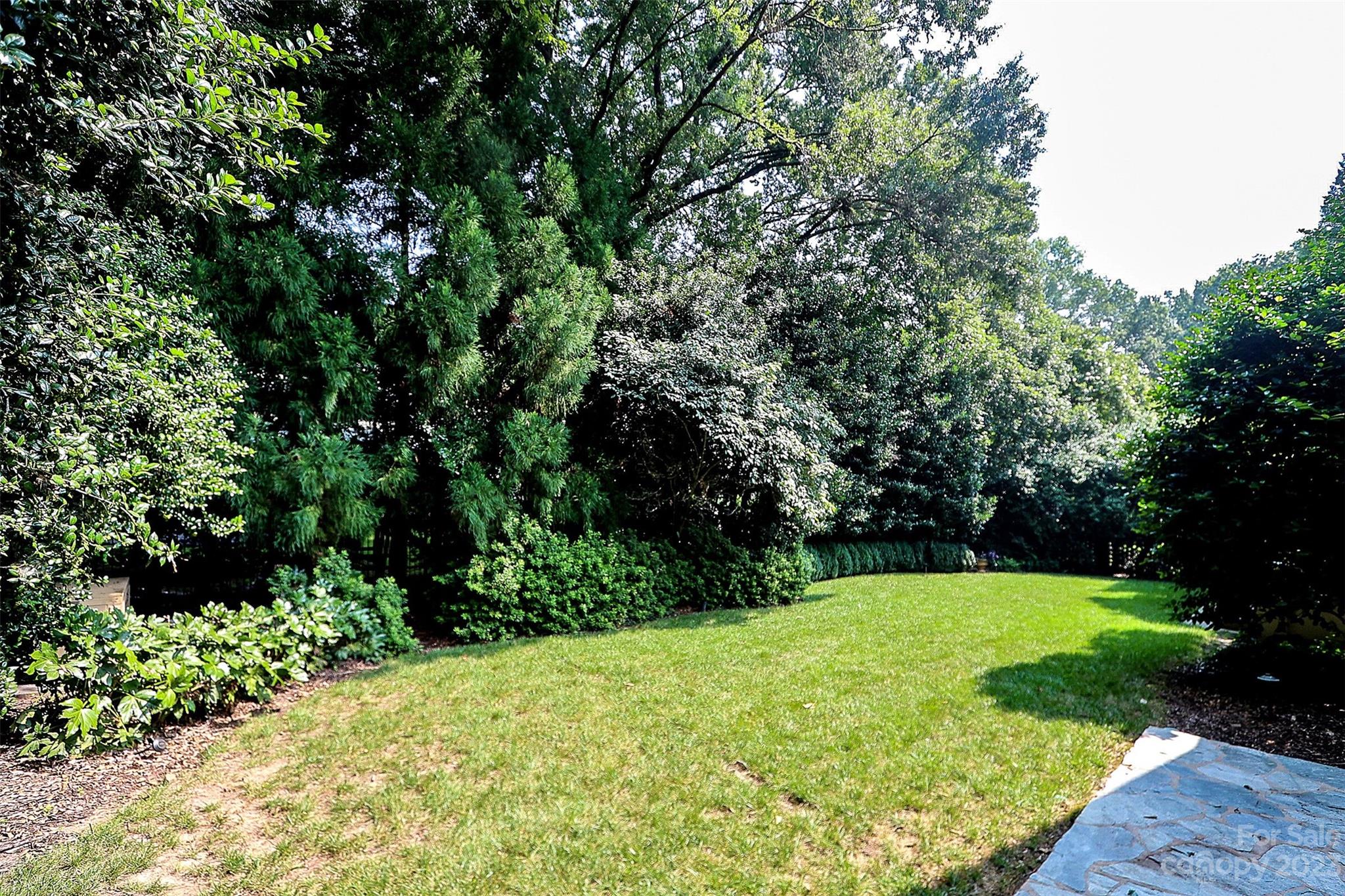 2416 Warburton Road Charlotte, NC 28211 - Photo 40 of 46 a view of a backyard with large trees