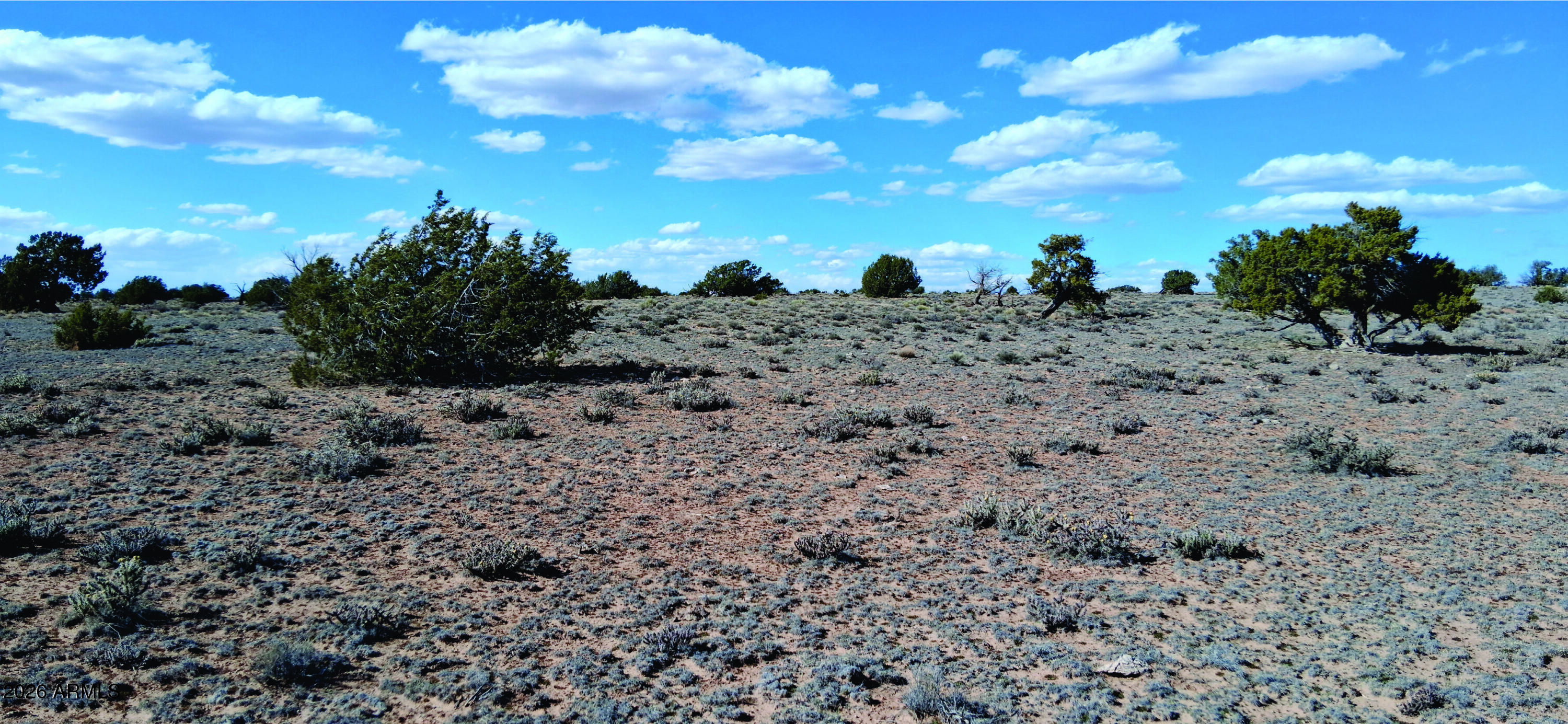 10.15-ac 10.15-ac Unnamed Road Sanders, AZ 86512 - Photo 11 of 23 a view of a dry space with lots of trees