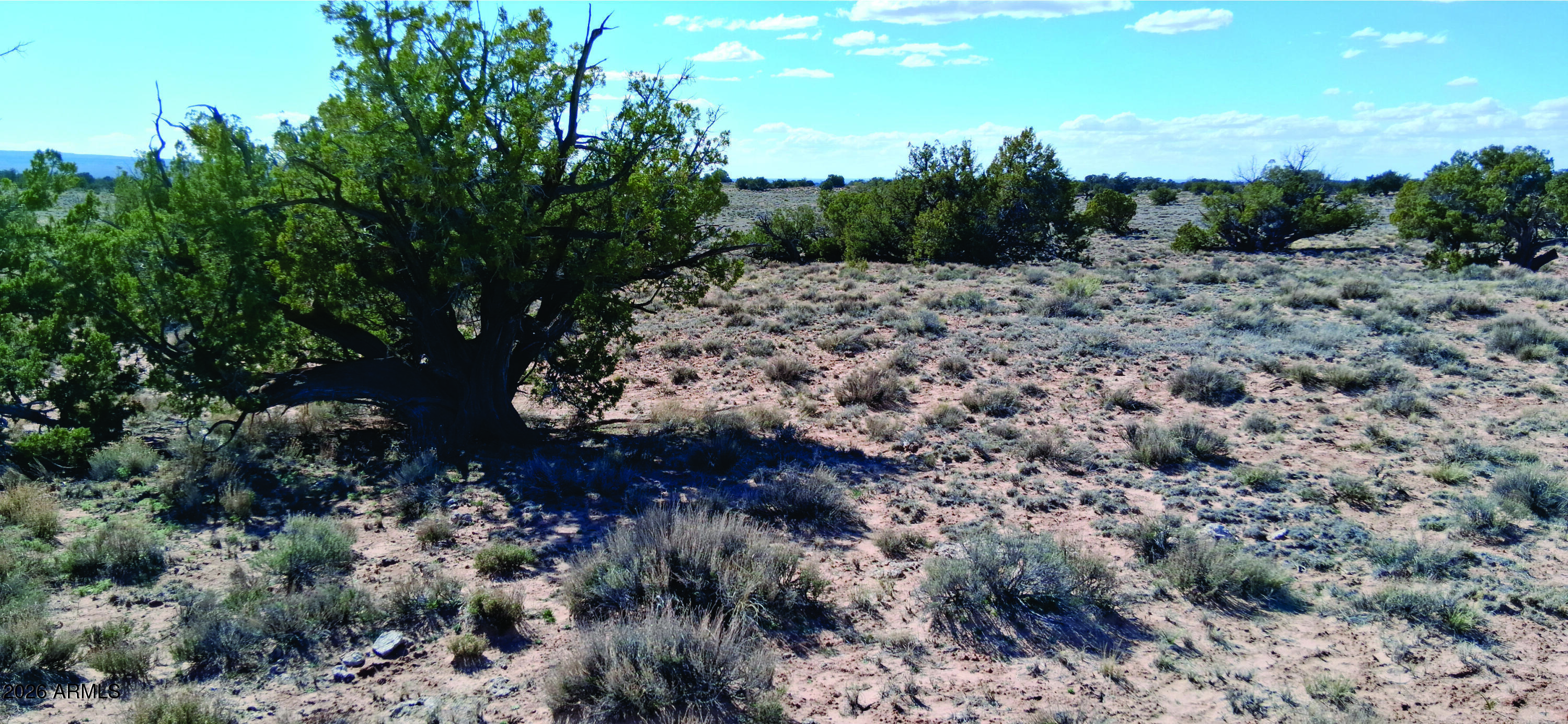10.15-ac 10.15-ac Unnamed Road Sanders, AZ 86512 - Photo 13 of 23 a view of a dry yard with lots of green space