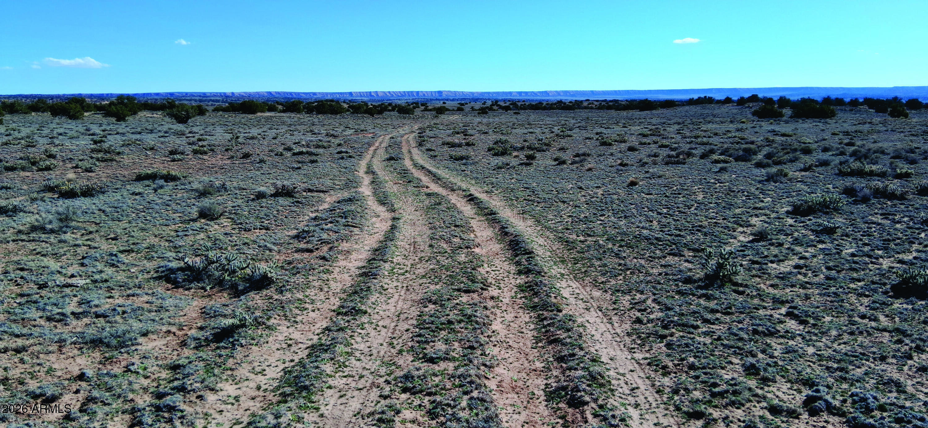 10.15-ac 10.15-ac Unnamed Road Sanders, AZ 86512 - Photo 16 of 23 a view of a dry yard with large trees