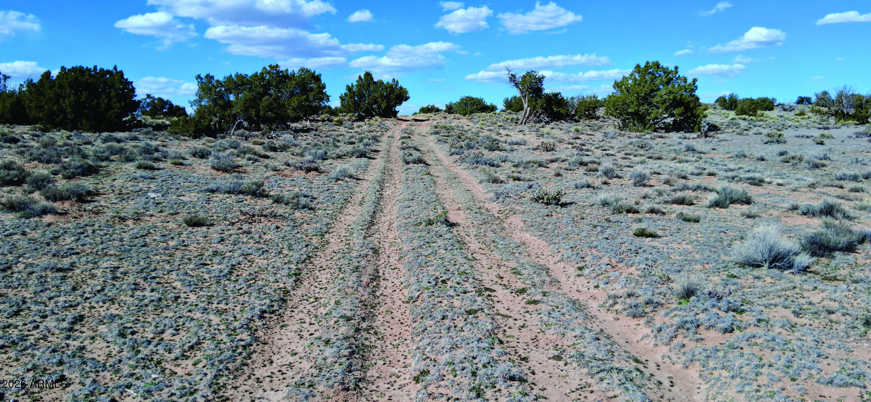 10.15-ac 10.15-ac Unnamed Road Sanders, AZ 86512 - Photo 17 of 23 a view of a dry space with lots of trees