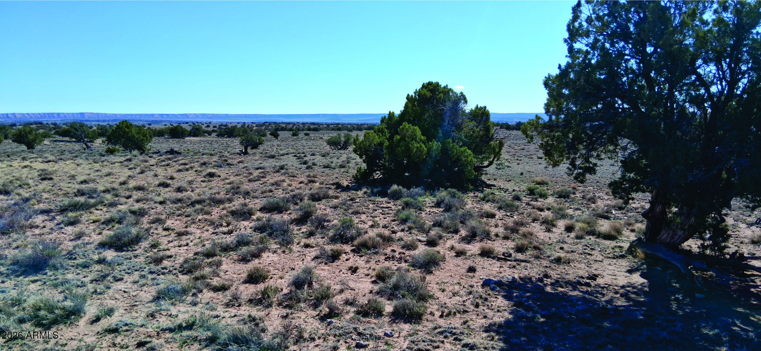 10.15-ac 10.15-ac Unnamed Road Sanders, AZ 86512 - Photo 18 of 23 a view of a yard