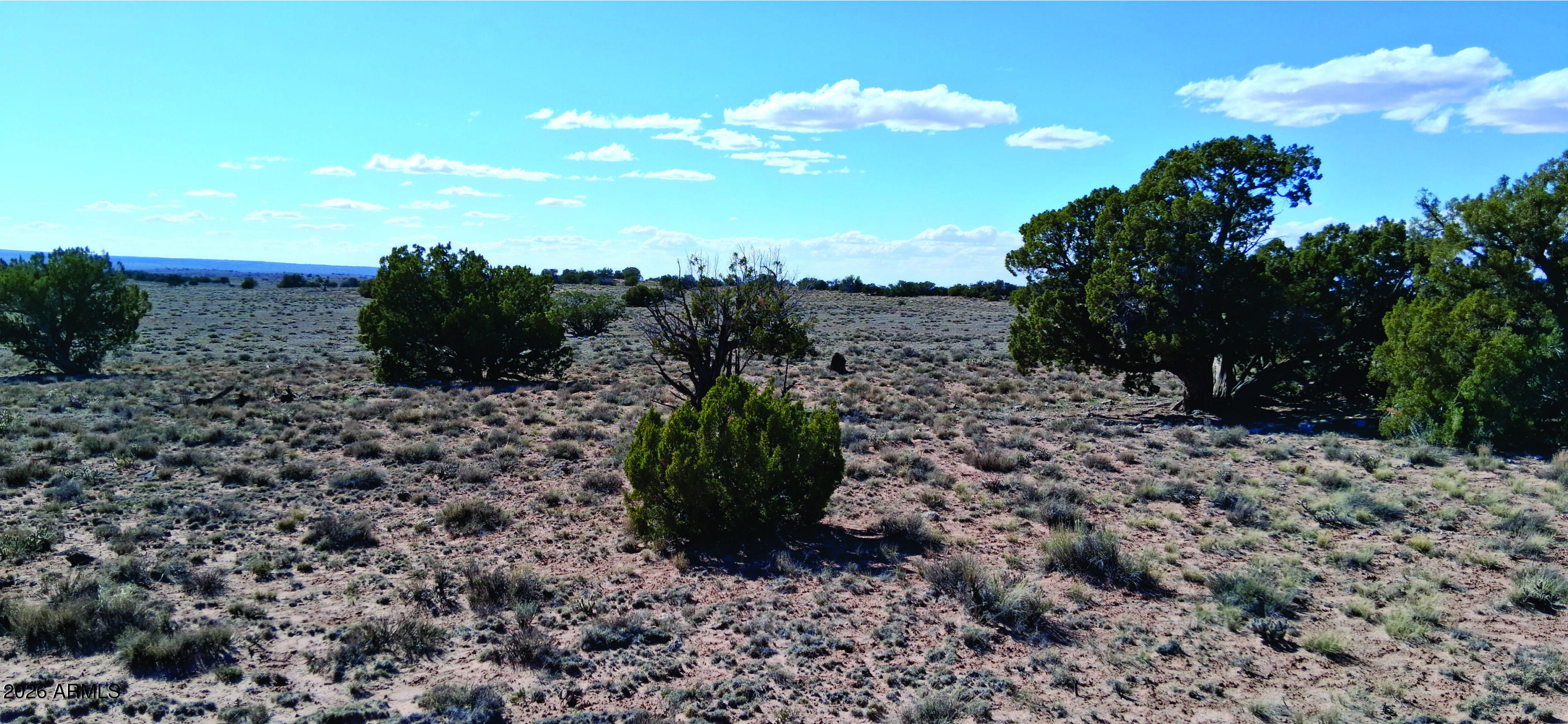 10.15-ac 10.15-ac Unnamed Road Sanders, AZ 86512 - Photo 19 of 23 a view of a dry yard with lots of trees