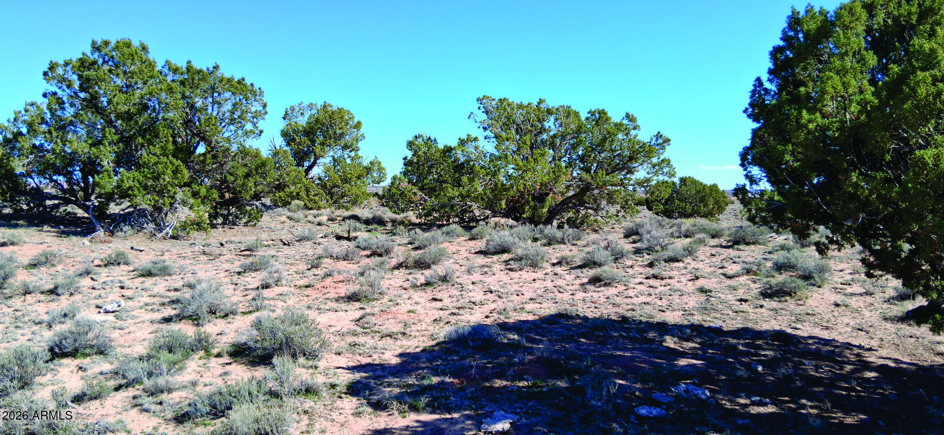 10.15-ac 10.15-ac Unnamed Road Sanders, AZ 86512 - Photo 21 of 23 a view of a large yard with lots of bushes and trees all around