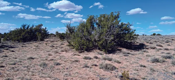 $9,900 | 10.15-ac 10.15-ac Unnamed Road, Sanders, AZ 86512