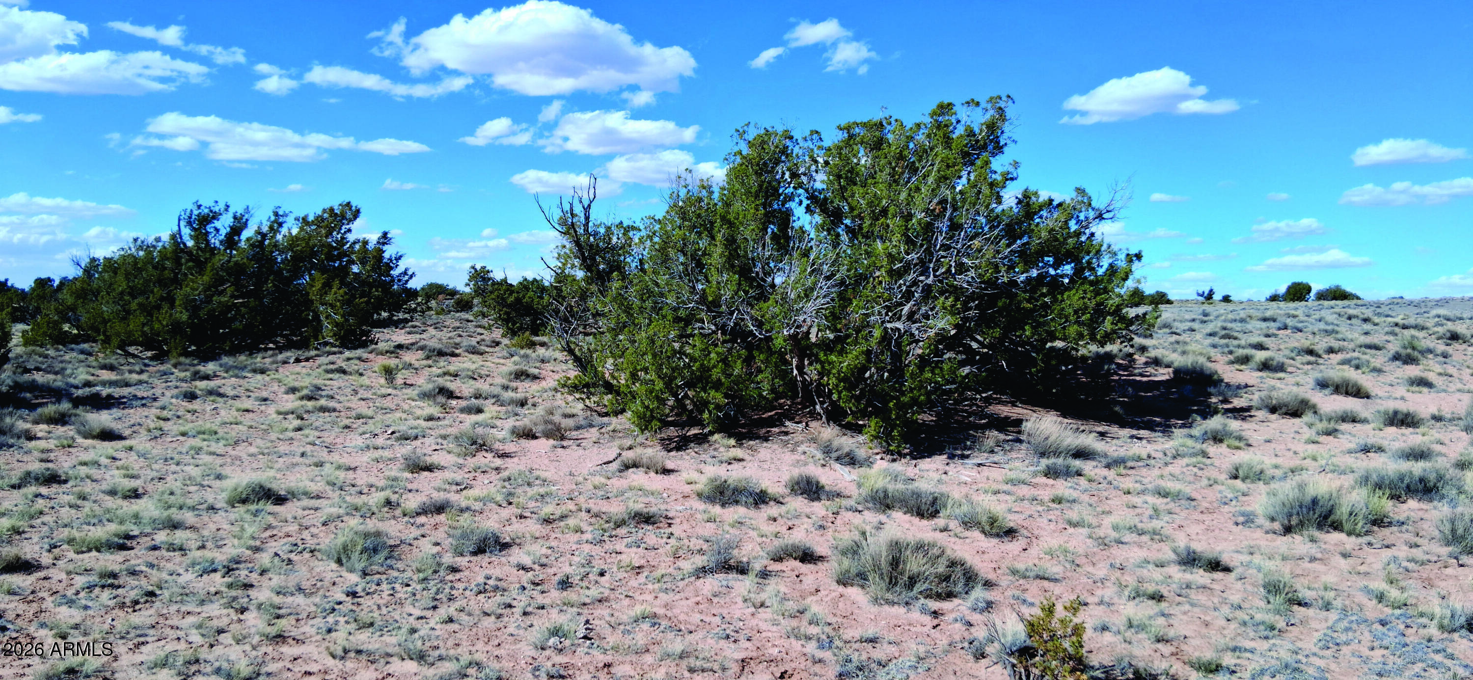 10.15-ac 10.15-ac Unnamed Road Sanders, AZ 86512 - Photo 23 of 23 a view of a dry space with lots of trees