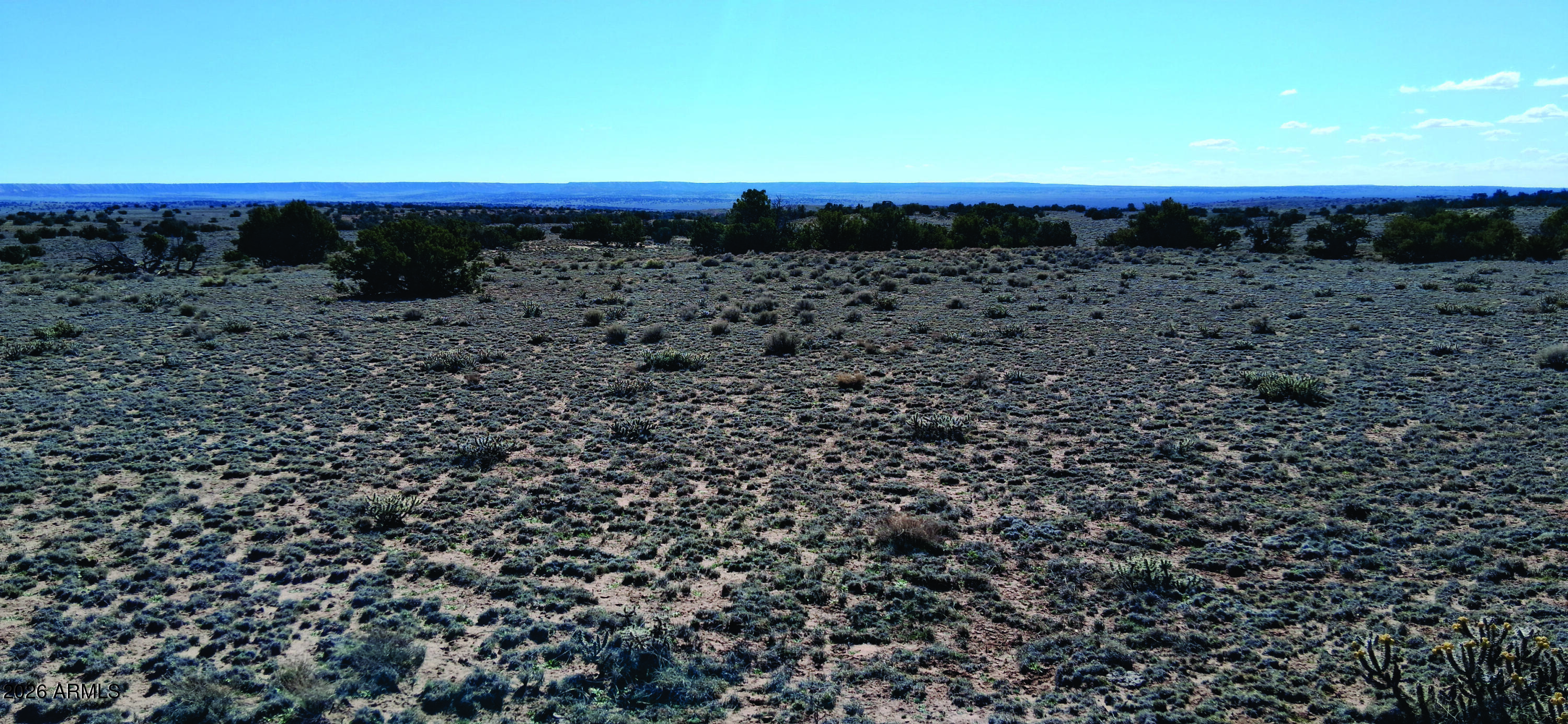 10.15-ac 10.15-ac Unnamed Road Sanders, AZ 86512 - Photo 8 of 23 a view of a dry yard with wooden floor