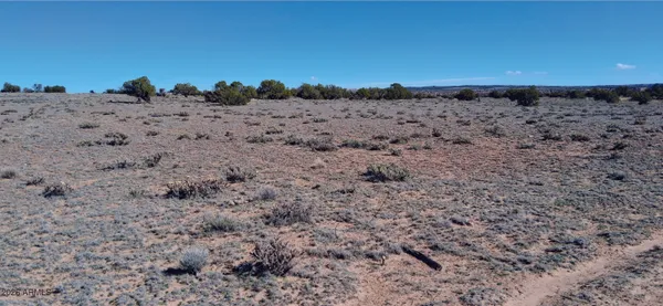 a view of beach and background