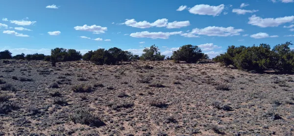 a view of a dry yard with lots of green space