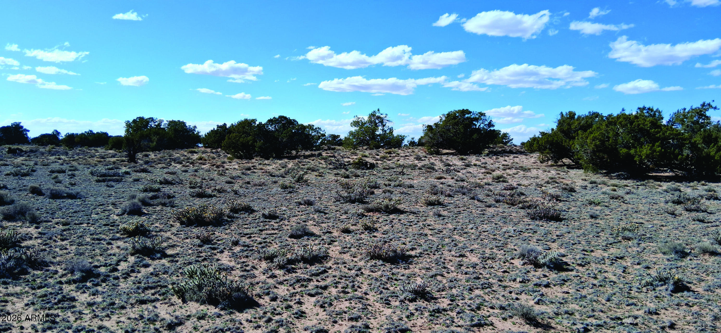 10.15-ac 10.15-ac Unnamed Road Sanders, AZ 86512 - Photo 10 of 23 a view of a dry yard with lots of green space