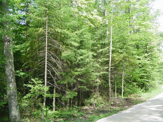 T/b/d Cedar Dell Road Ellison Bay, WI 54210 - Photo 3 of 4