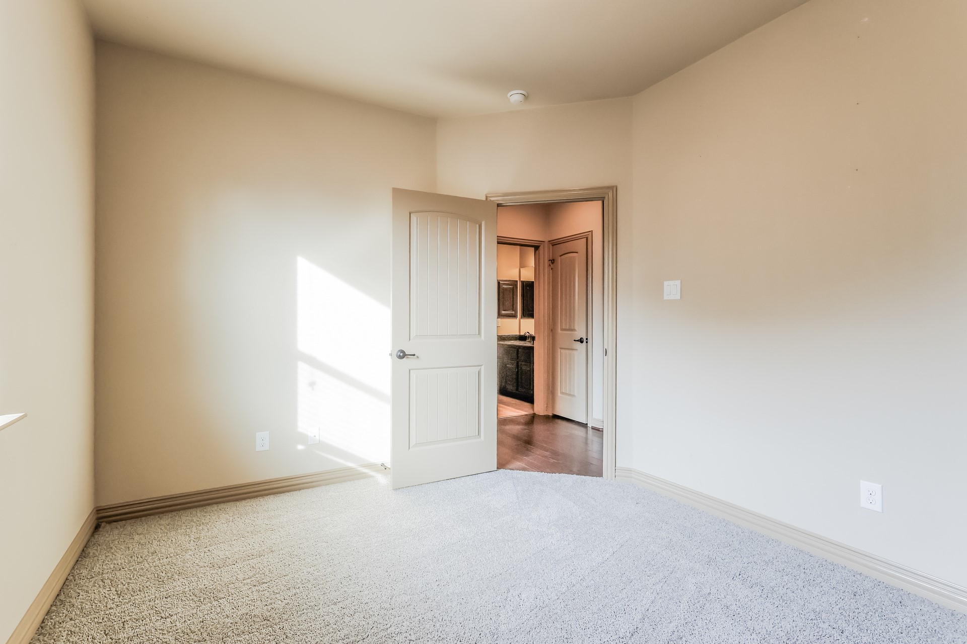 19030 Panther Peak Spring, TX 77388 - Photo 11 of 19