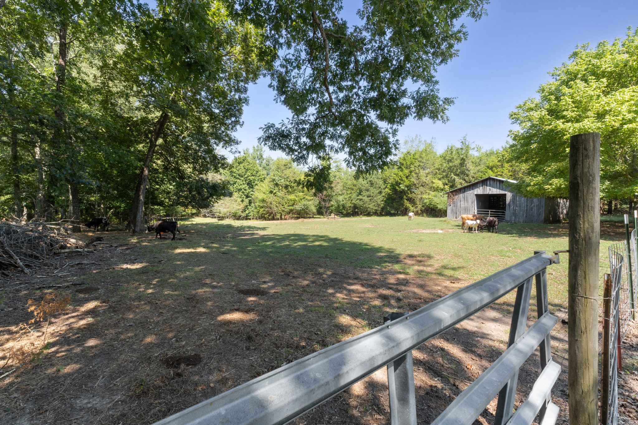 232 Clyde Vickers Road Estill Springs, TN 37330 - Photo 23 of 25 a view of a house with a yard
