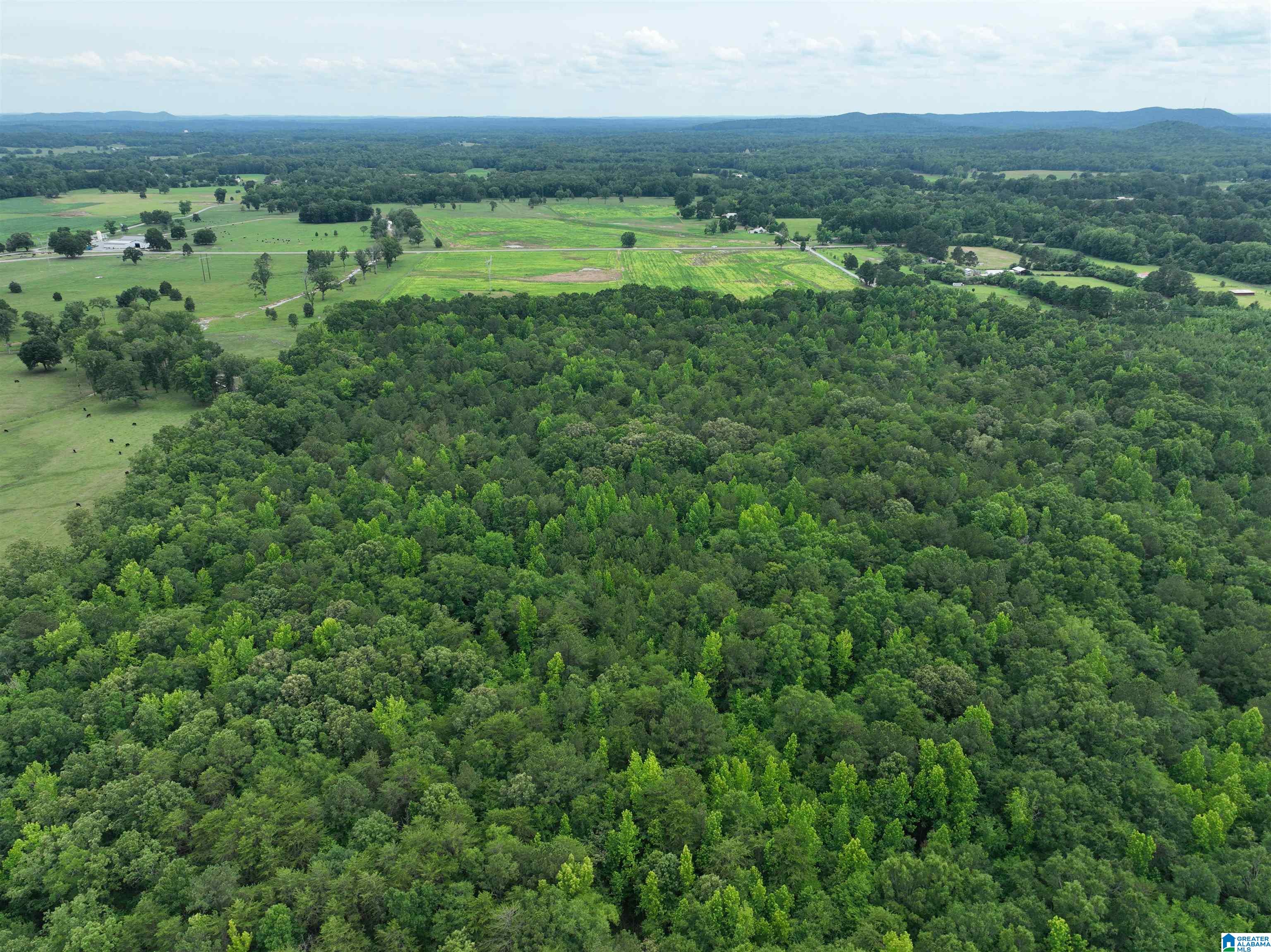 Jackson Farm Road Wilsonville, AL 35186 - Photo 8 of 13 Gallery Image 8