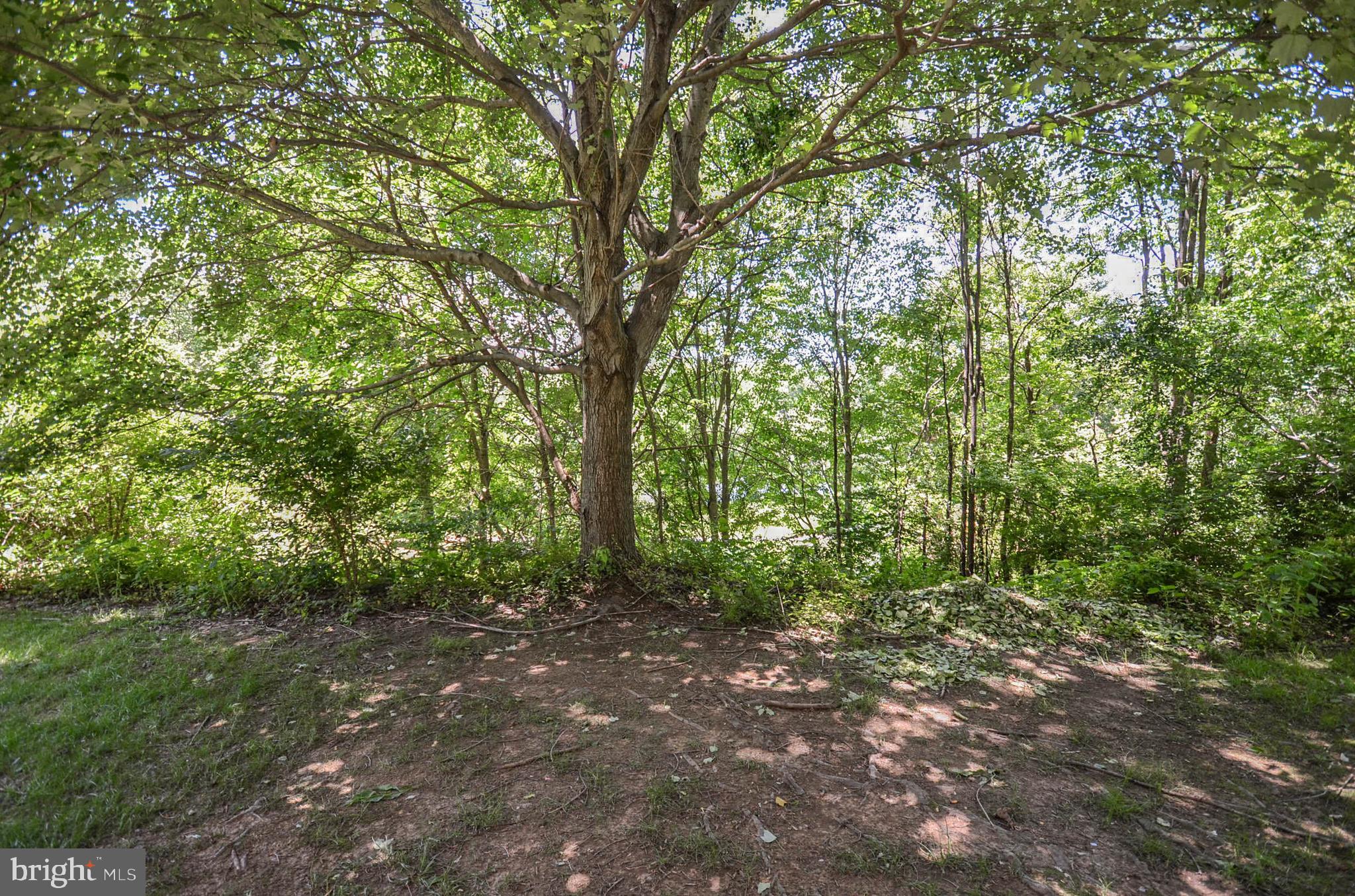 18300 Streamside Drive, Unit 103 Gaithersburg, MD 20879 - Photo 19 of 29 View from patio