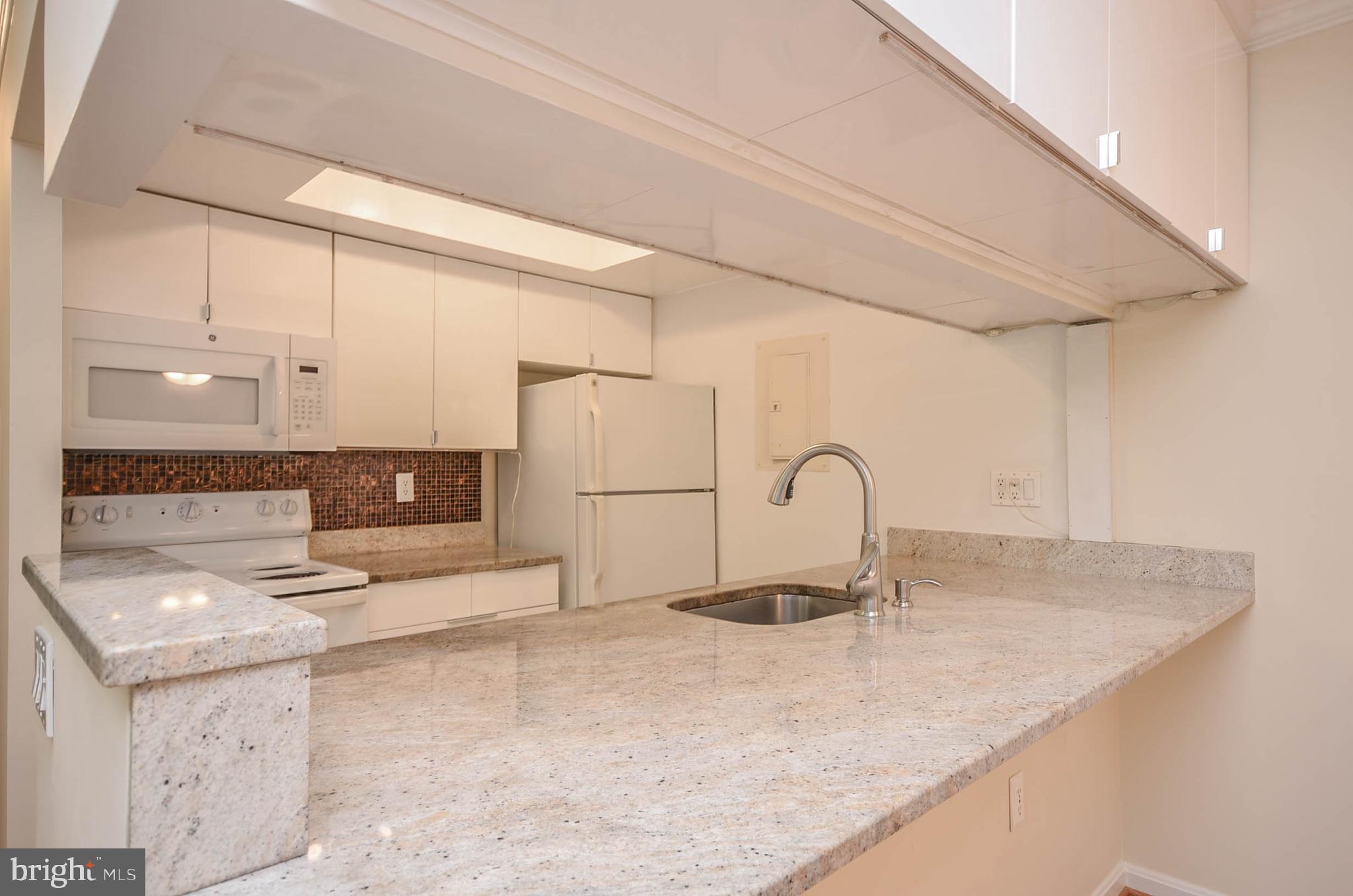 18300 Streamside Drive, Unit 103 Gaithersburg, MD 20879 - Photo 3 of 29 Kitchen