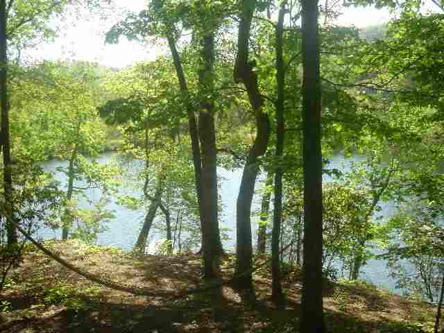 400 Big Rock Lake Road Pickens, SC 29671 - Photo 3 of 9 Gallery Image 3