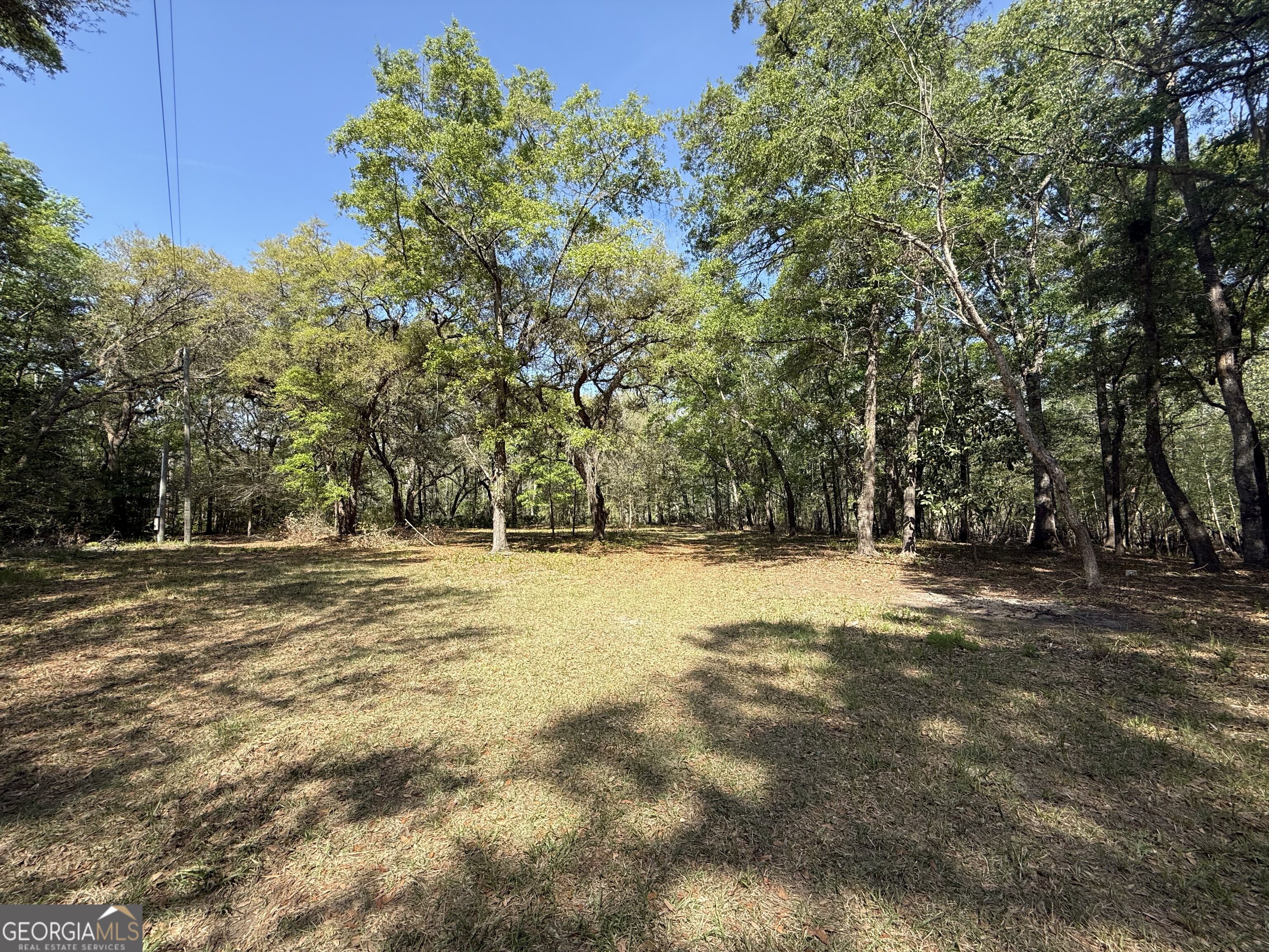 315 High Bluff Road Rincon, GA 31326 - Photo 1 of 1 Gallery Image 1