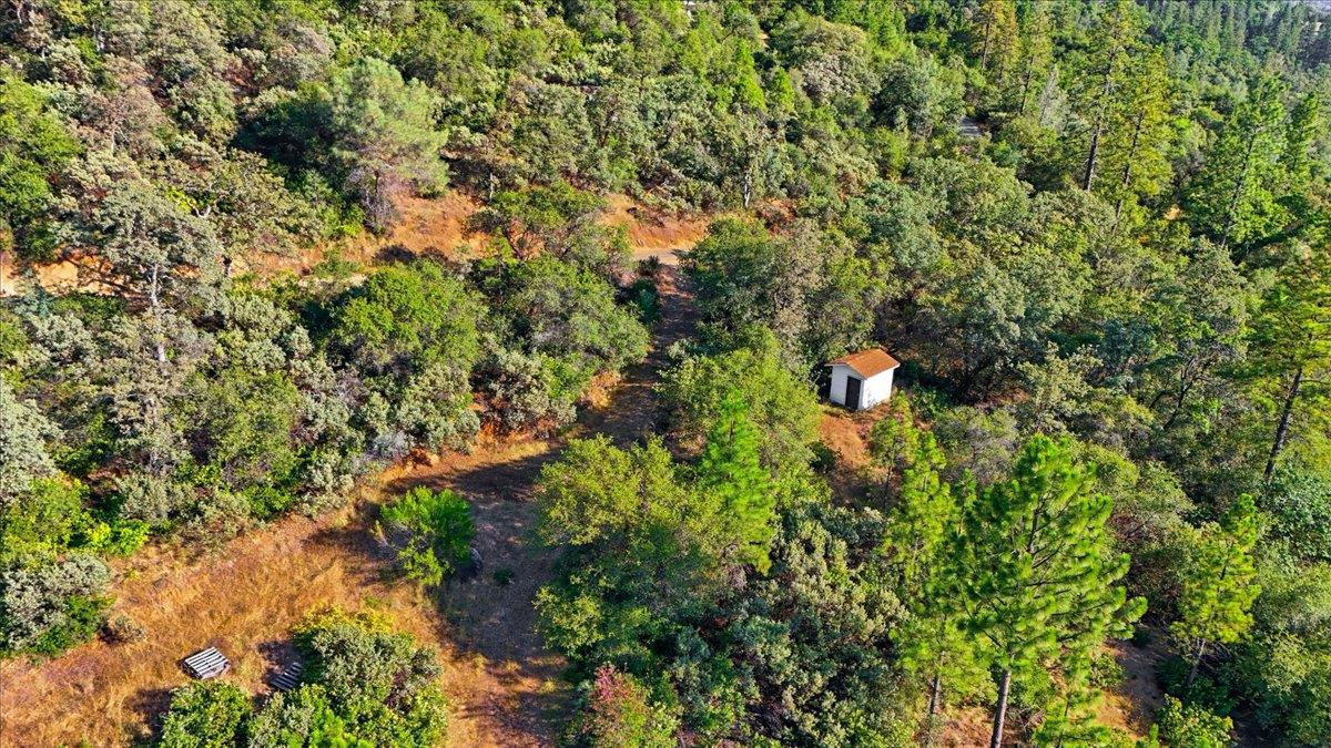 17436 Black Forest Road Penn Valley, CA 95946 - Photo 5 of 36