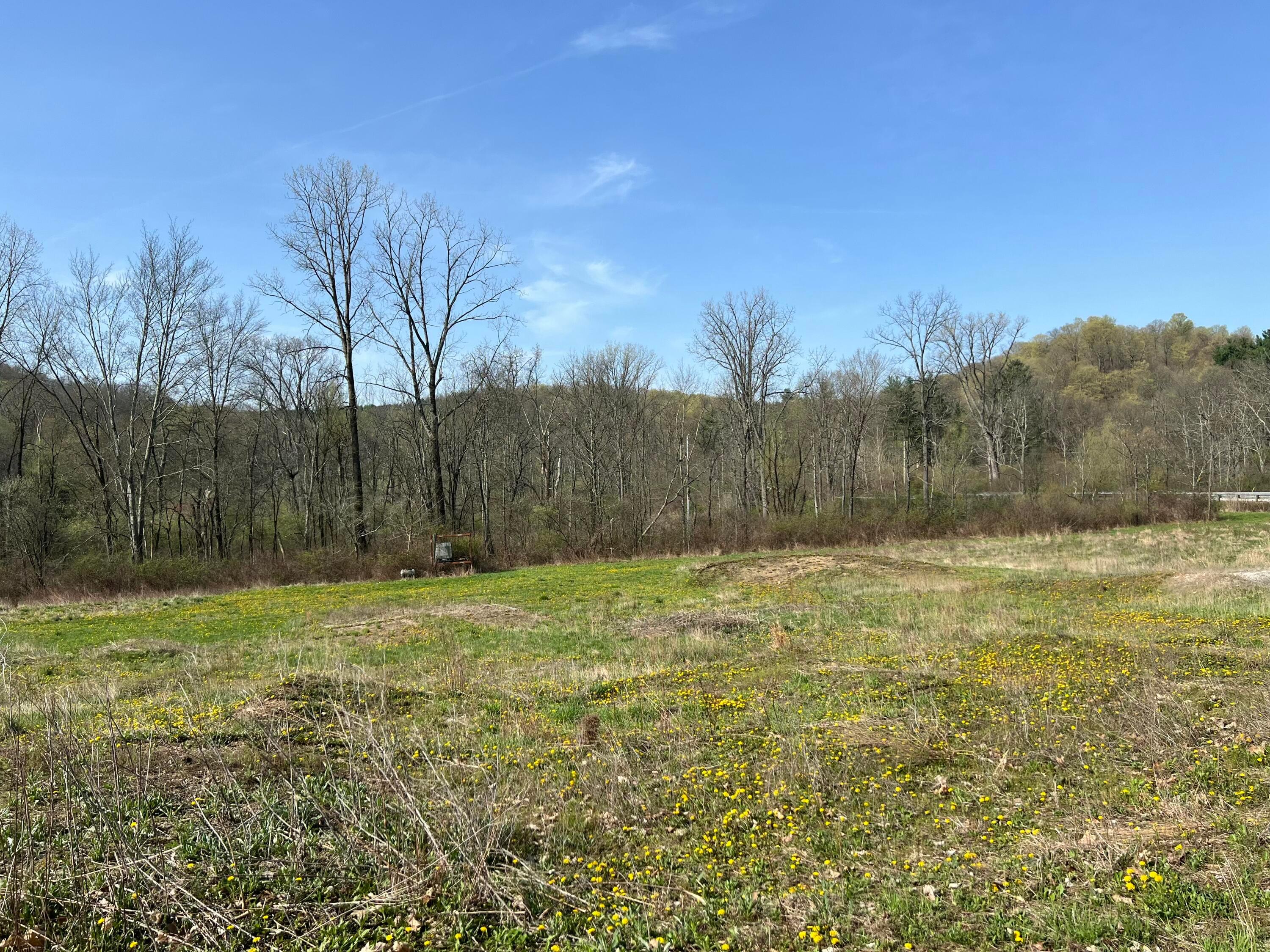 0 Kenton Road Bellville, OH 44813 - Photo 18 of 23 tempImageue85ML