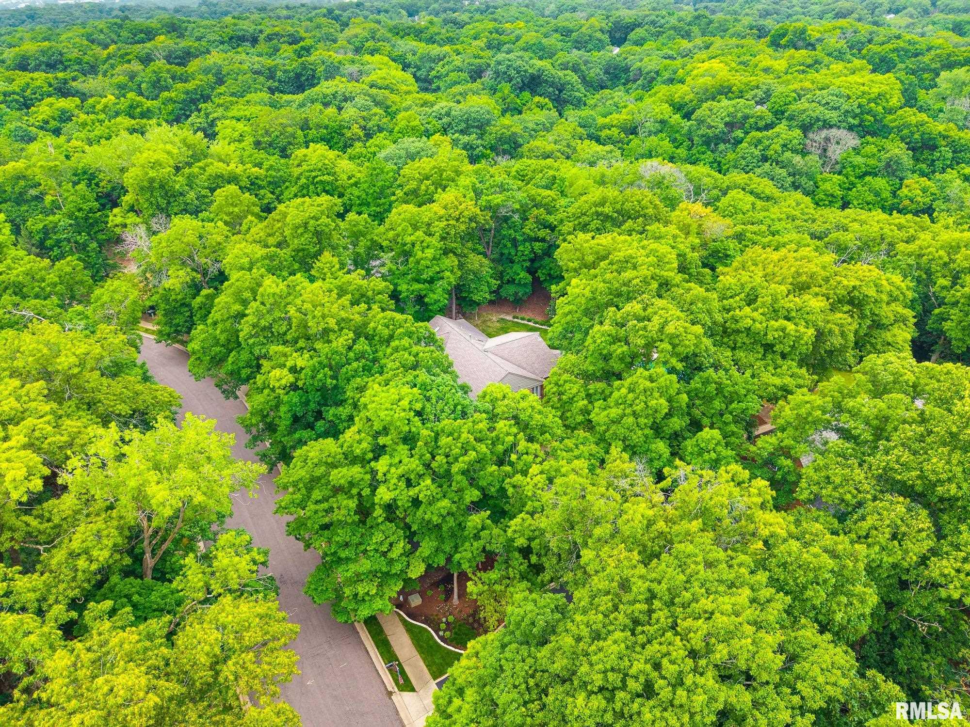 341 West Ravinwoods Road Peoria, IL 61615 - Photo 43 of 52 Gallery Image 43