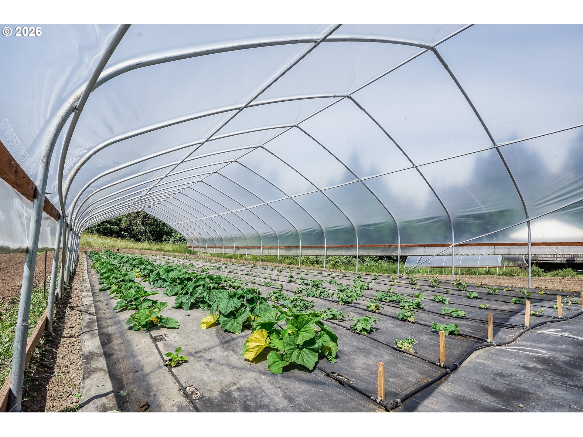 23175 Northeast Ridge Road Gaston, OR 97119 - Photo 20 of 36