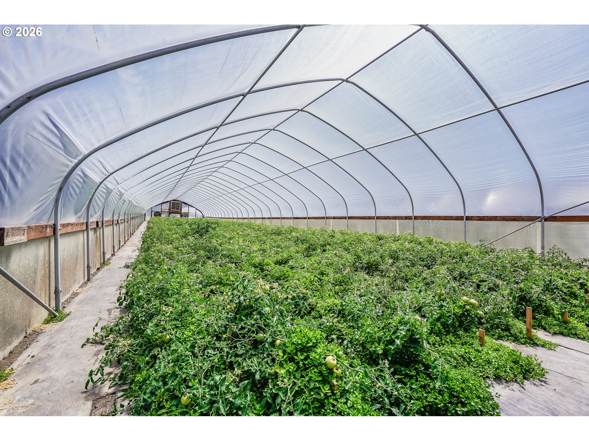 23175 Northeast Ridge Road Gaston, OR 97119 - Photo 21 of 36