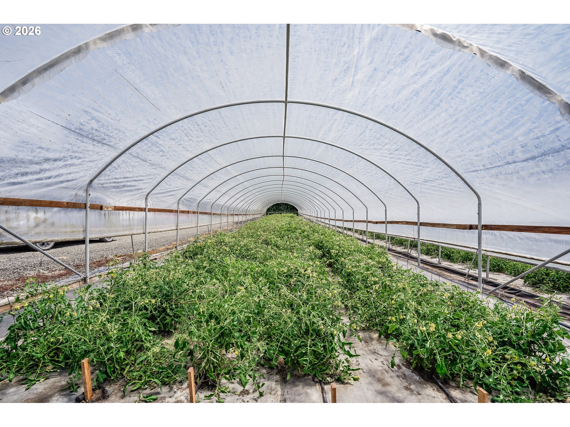 23175 Northeast Ridge Road Gaston, OR 97119 - Photo 24 of 36